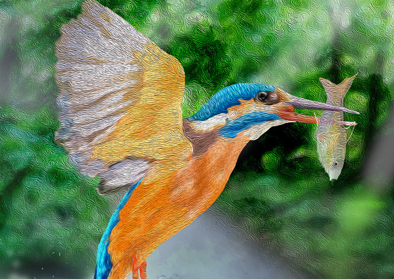 Kingfisher Detail
